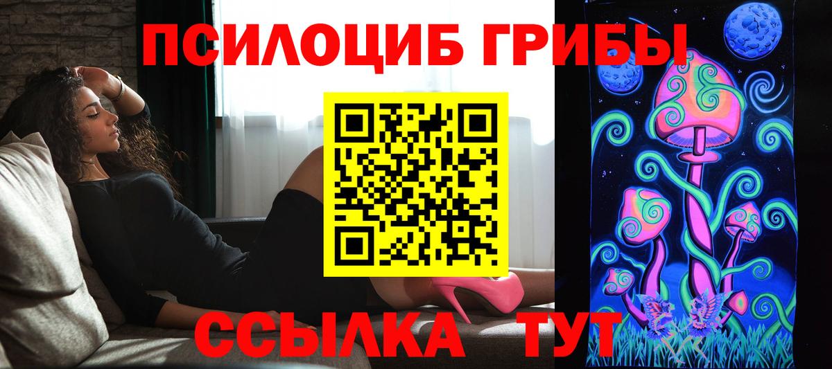 Псилоцибиновые грибы Psilocybe  Вход с VPN  Ипатово 